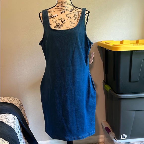 NWT Blue JEAN Dress SLEEVELESS NWT - Picture 3 of 3